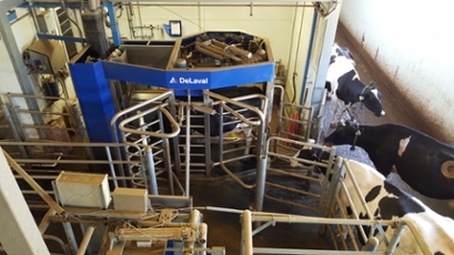 milking robot 19